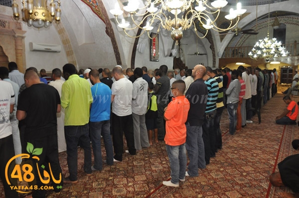 kaber yaffa js (11).JPG